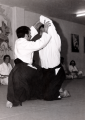 aikido_01_03.png