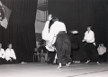 aikido_02_06.png