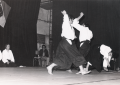 aikido_02_08.png